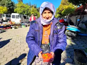 67 Yaşındaki Semiha Hanım'ın Dağ Çileği Hikayesi
