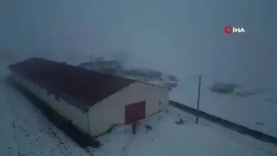 Ağrı'da Kadın Çiftçinin Başarı Hikayesi