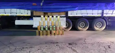Aydın'da 34 Ton Sahte Zeytinyağı Operasyonu