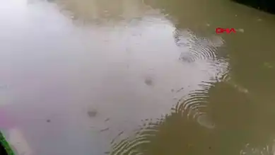Nazilli'de Sağanak Yağış Felç Etti! Yollar Kapandı!