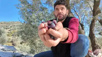 Çift Kol Nakli Olan Adam Zeytin Hasadında