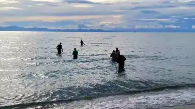 Didim'de Sokak Hayvanları İçin Kış Denizi Şovu!