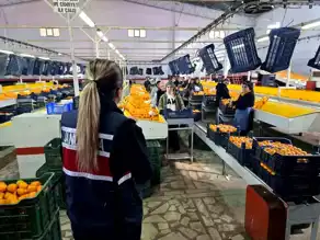 Aydın Jandarması Kadınlara Uyuşturucuyla Mücadele Eğitimi Verdi