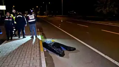 Ağabey, Kardeşini Kurtarmaya Çalışırken Hayatını Kaybetti