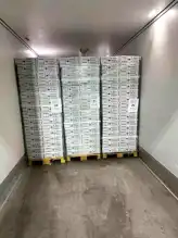 Söke'den İtalya'ya 19 Ton Balık İhracatı