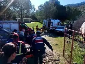 Zeytin Toplayan Şahıs Düştü, 1 Km Taşındı!