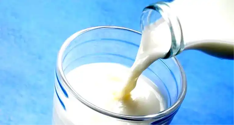 Aydın'da 10 Bin Üreticiye Süt Desteği