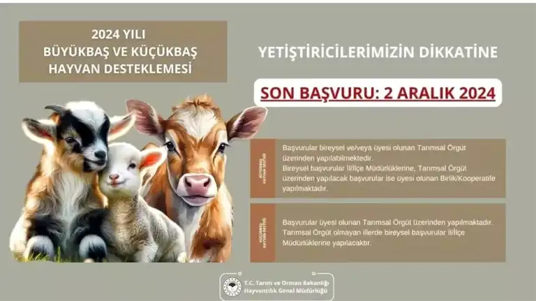 Hayvancılık Destek Başvurusu Son Tarihi Yaklaşıyor!