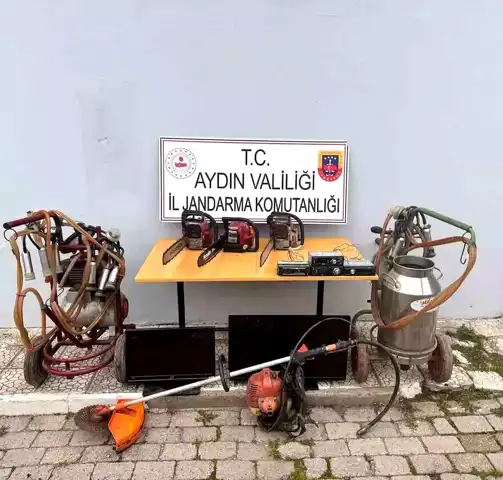 Aydın Kuyucak'ta Hırsızlık Şebekesi Çökertildi