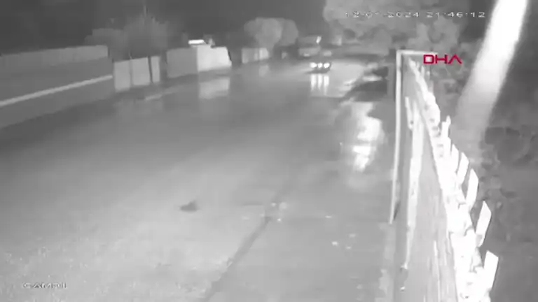 Motosiklet Kazası: Genç Sürücü Hayatını Kaybetti