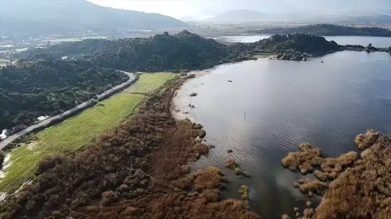 Bafa Gölü'nün Su Seviyesi Yükseldi!
