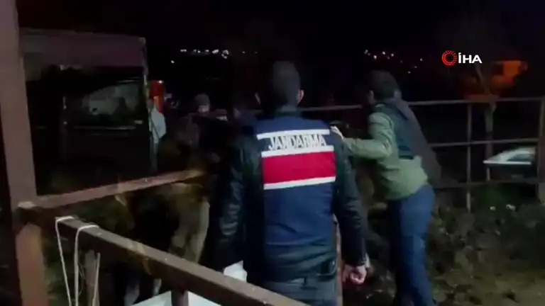Aydın'da Hayvan Hırsızları 52 Saatte Yakalandı