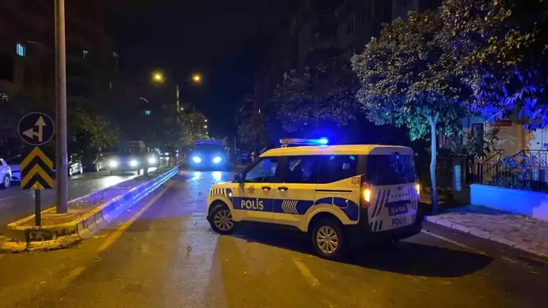 Şiddetli Rüzgar Yola Ağaç Düşürdü!