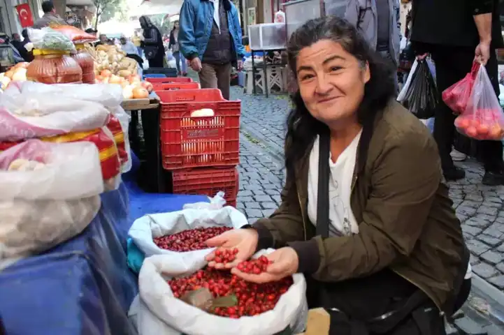 Kışın Şifası: Dağlardan Gelen Kuşburnu