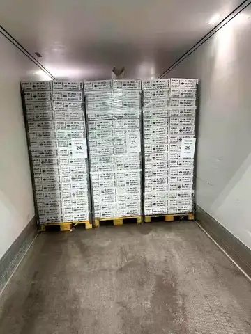 Söke'den İtalya'ya 19 Ton Balık İhracatı